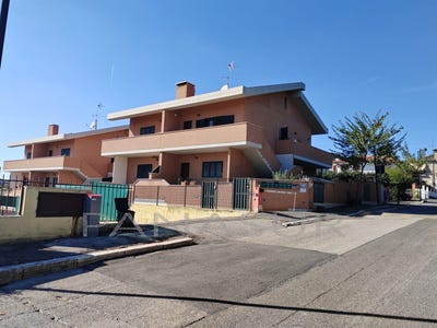 /international/it/pascolare-lazio-310107566220/