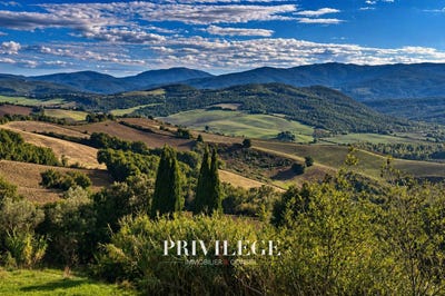 /international/it/torrita-di-siena-tuscany-310107738238/