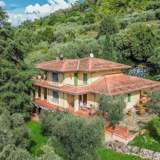 /international/it/monsummano-terme-tuscany-310108838008/