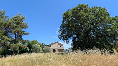 /international/it/montegabbione-umbria-120091586880/