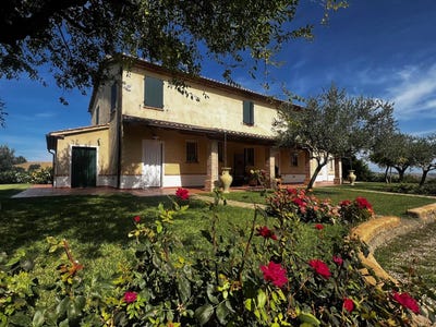 /international/it/barchi-marche-310102420942/