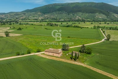 /international/it/trevi-umbria-310105307805/