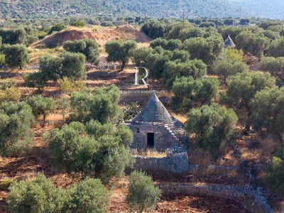 /international/it/fasano-apulia-310109690143/