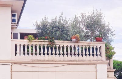 /international/it/lucca-tuscany-310108325305/