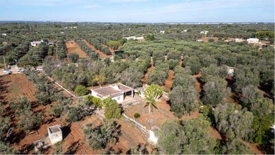 /international/it/san-vito-dei-normanni-apulia-310103042659/