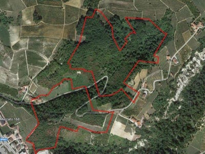 /international/it/dogliani-piedmont-120086770528/?lang=zh-cn