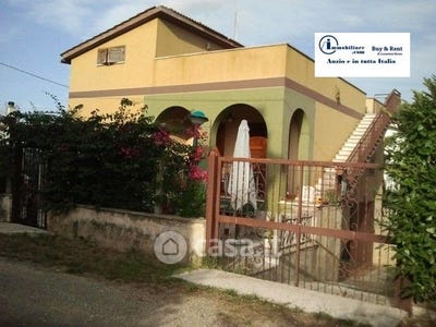 /international/it/nettuno-lazio-310102184642/