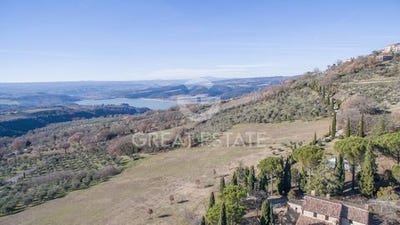 /international/it/baschi-umbria-310101376707/