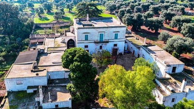 /international/it/fasano-apulia-310104988631/