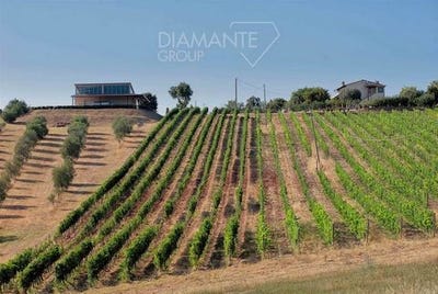 /international/it/massa-marittima-tuscany-310105232486/