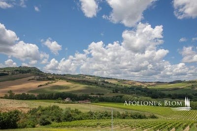 /international/it/strada-provinciale-4-volterrana-castelfiorentino-tuscany-310109731119/