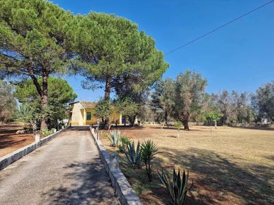 /international/it/oria-apulia-310106934935/