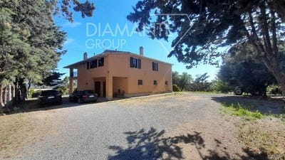 /international/it/magliano-in-toscana-tuscany-310101383526/