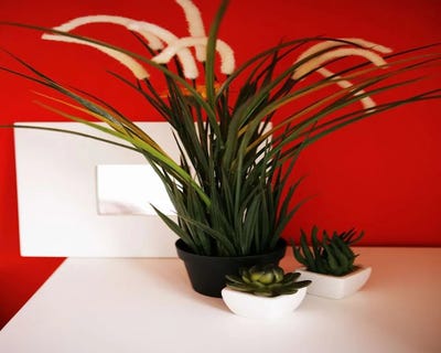 /international/it/viale-abruzzi-milan-lombardy-310101174576/?lang=de