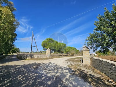 /international/it/martano-apulia-310103819856/