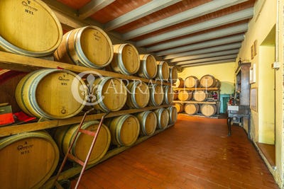 /international/it/gaiole-in-chianti-tuscany-310101445175/