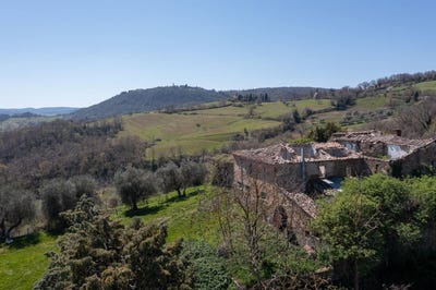/international/it/torrita-di-siena-tuscany-120067557251/