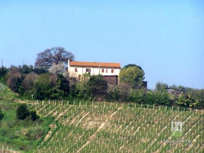 /international/it/terricciola-tuscany-120092360237/