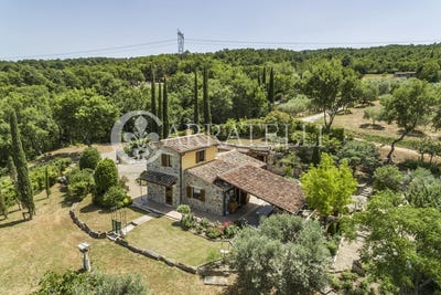/international/it/castiglione-d-orcia-tuscany-310100876832/