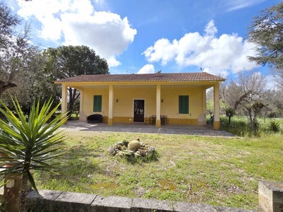/international/it/oria-apulia-310106413815/