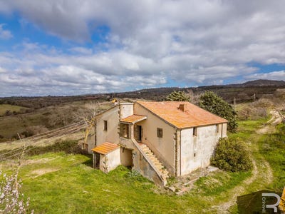 /international/it/scansano-scansano-tuscany-310105991585/
