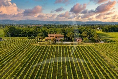 /international/it/castiglione-del-lago-umbria-310100709940/