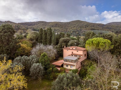 /international/it/collesalvetti-collesalvetti-tuscany-310103798775/