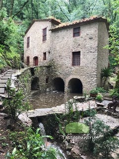 /international/it/camaiore-tuscany-310096677765/