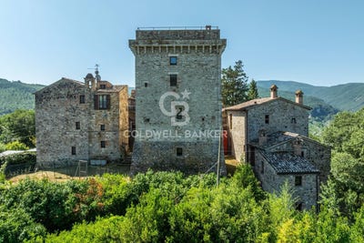 /international/it/todi-umbria-310105305962/