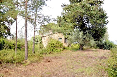 /international/it/san-casciano-dei-bagni-tuscany-310100961765/