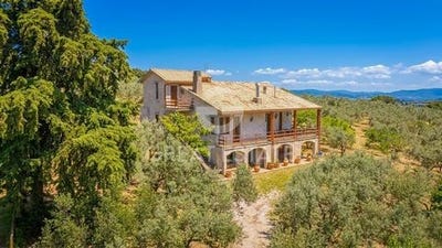 /international/it/trevi-veneto-310108216123/