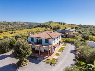 /international/it/scansano-tuscany-310104086550/