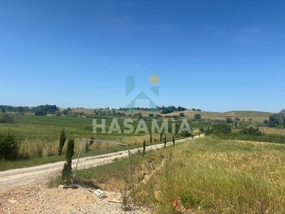/international/it/strada-provinciale-amiatina-7-magliano-in-toscana-tuscany-310108592095/