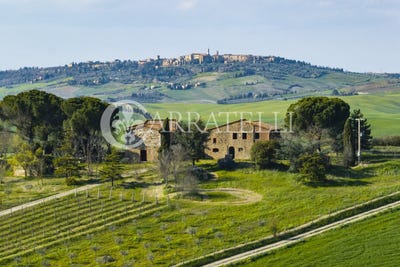 /international/it/pienza-tuscany-310106943913/