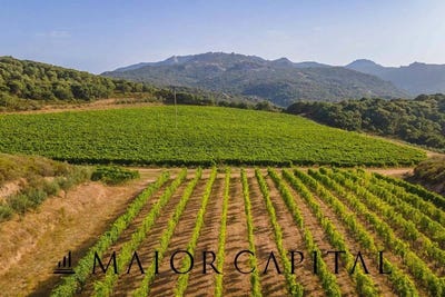 /international/it/calangianus-sardinia-310108317734/