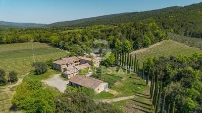 /international/it/montalcino-tuscany-310107947968/
