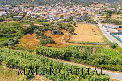 /international/it/torpe-sardinia-310108317406/