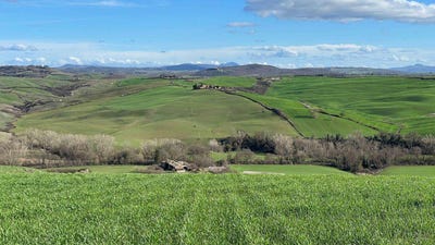 /international/it/montalcino-tuscany-310101654193/