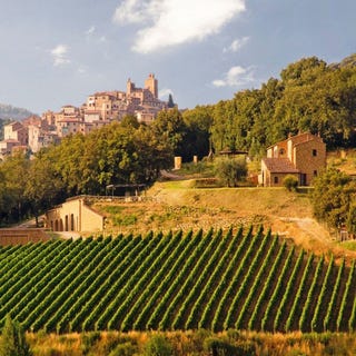 /international/it/trequanda-tuscany-310108105487/