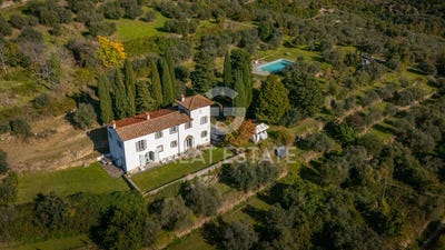 /international/it/castelfranco-di-sopra-tuscany-310103427519/
