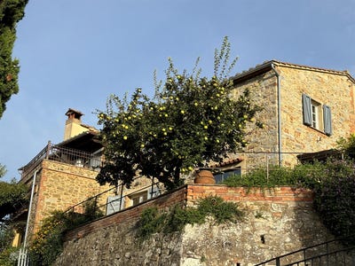 /international/it/campagnatico-tuscany-120096037200/?lang=zh-tw