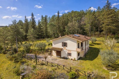 /international/it/tavarnelle-val-di-pesa-tuscany-310106916369/