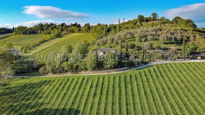 /international/it/montepulciano-tuscany-310100710610/