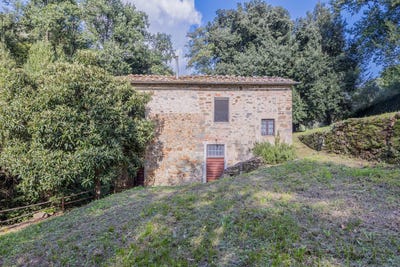 /international/it/lamporecchio-tuscany-310104301537/