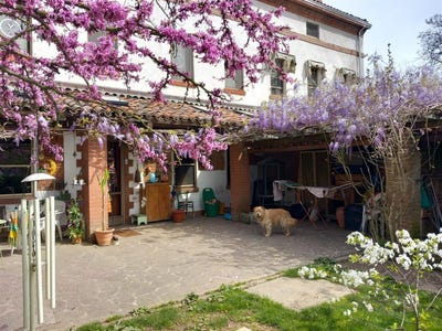 /international/it/alessandria-piedmont-310108277286/
