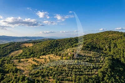 /international/it/arezzo-tuscany-310108324746/