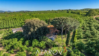 /international/it/vetralla-lazio-310107907355/