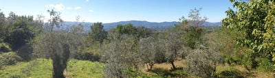 /international/it/castelfranco-di-sopra-tuscany-310102420882/