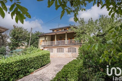 /international/it/bosco-chiesanuova-veneto-310102715965/