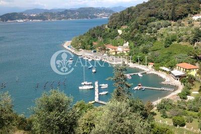 /international/it/portovenere-liguria-310099759787/